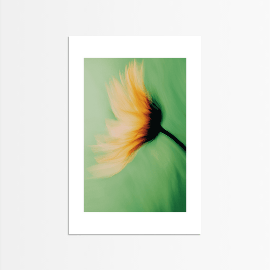 Feather in Motion - The Secret Gallery