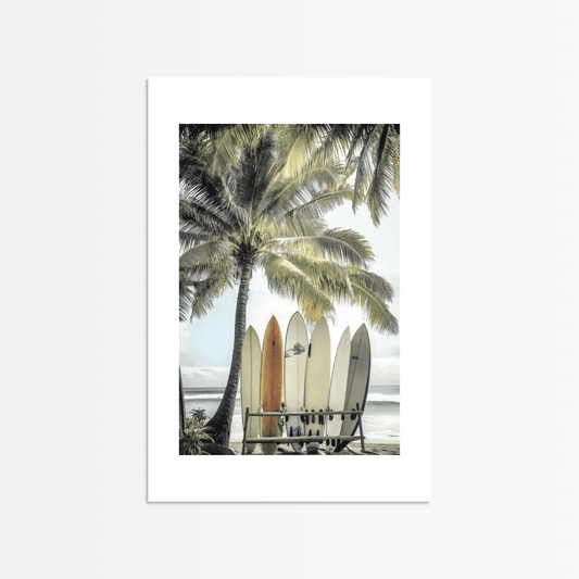 Palms and Arches - The Secret Gallery
