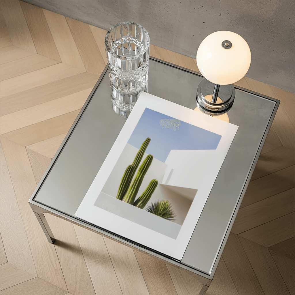 Desert Cactus Shadow - The Secret Gallery