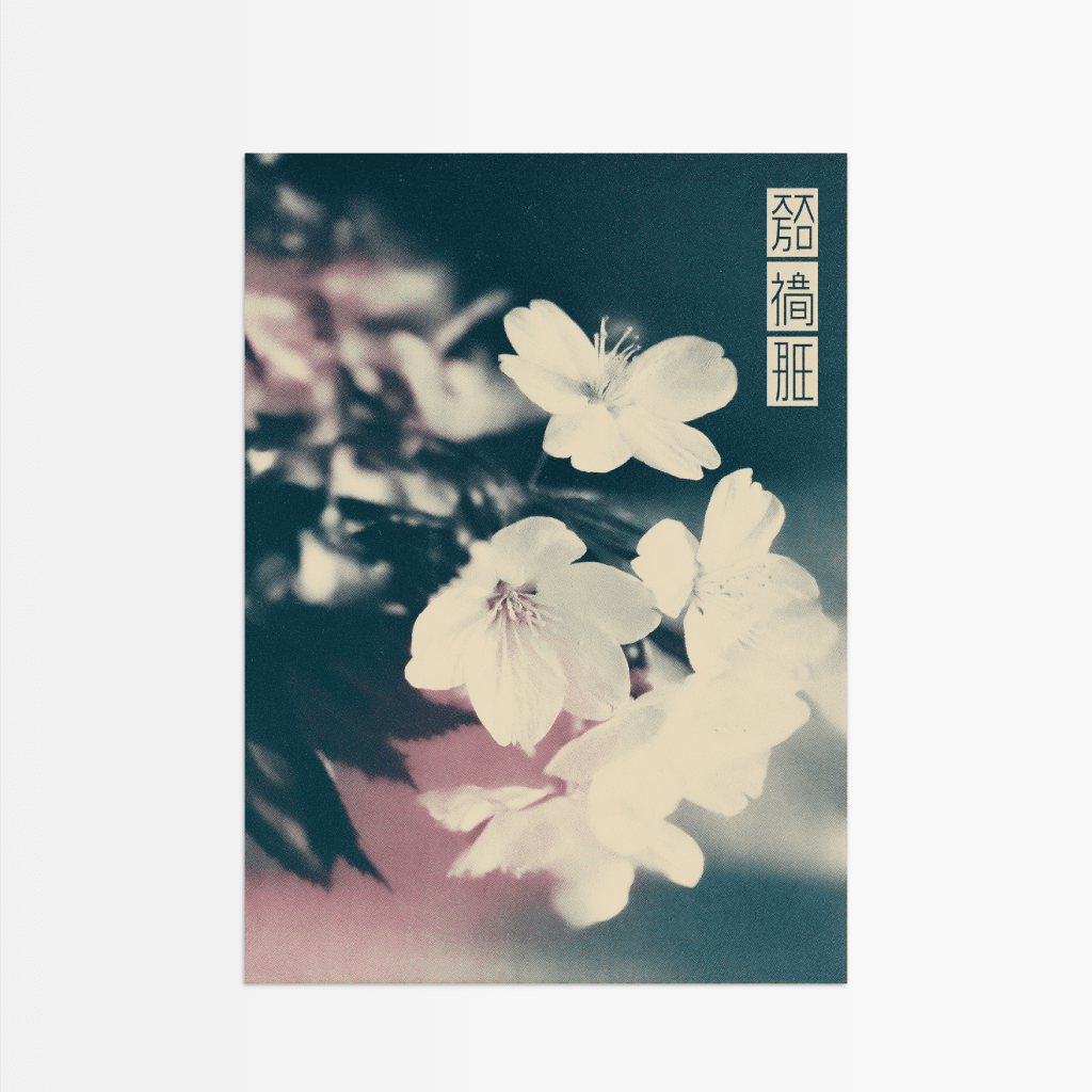 Faded Sakura Dreams - The Secret Gallery