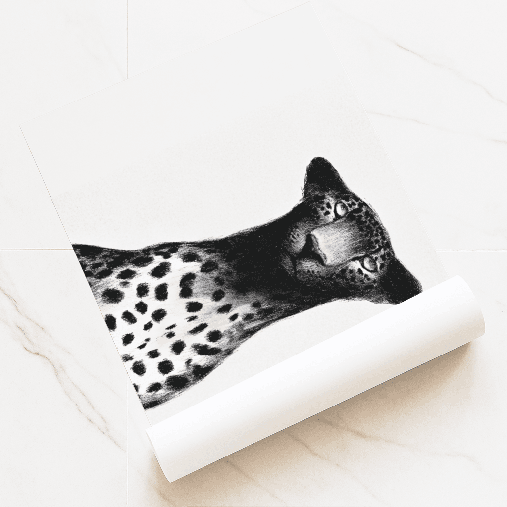 Leopard Look - The Secret Gallery