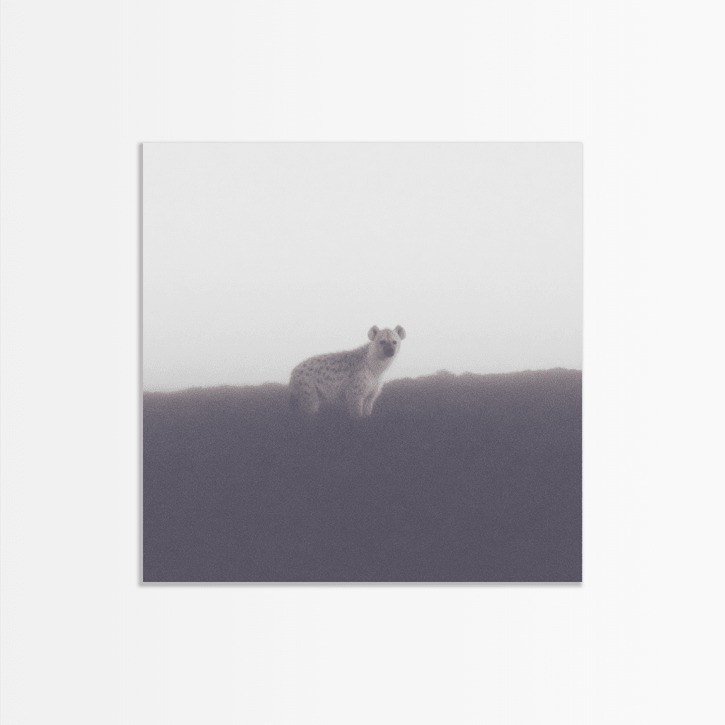 Mist Creature - The Secret Gallery