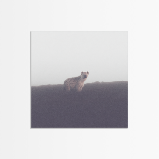Mist Creature
