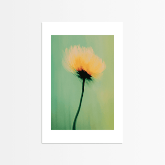 Bloom of Solitude - The Secret Gallery
