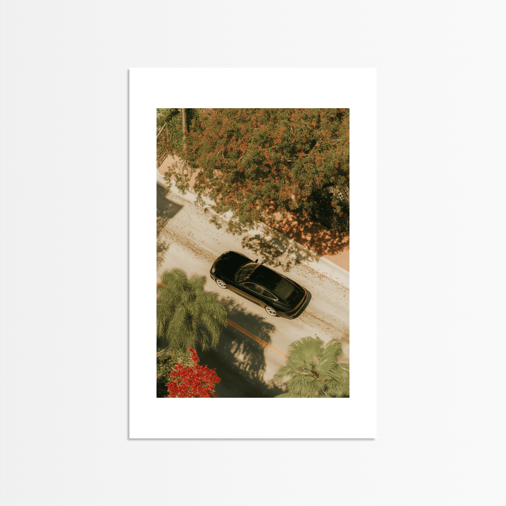 View from Above - The Secret Gallery