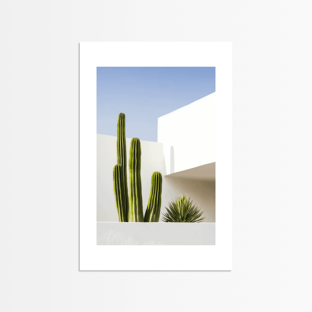 Desert Cactus Shadow - The Secret Gallery