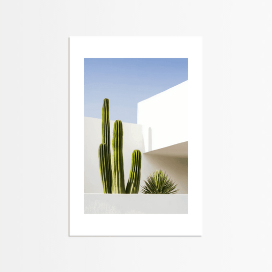 Desert Cactus Shadow - The Secret Gallery