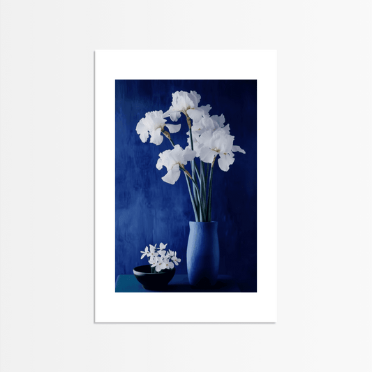 White Orchids in Shadow - The Secret Gallery