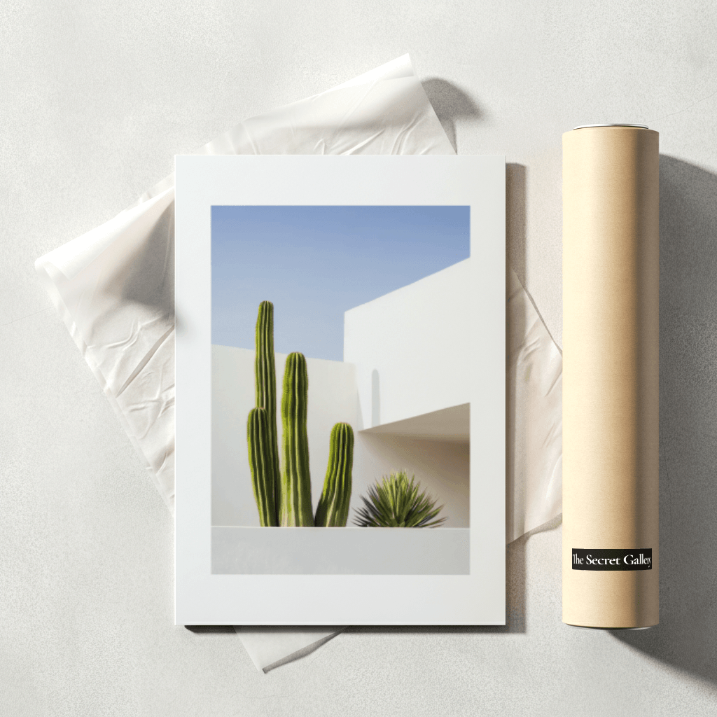 Desert Cactus Shadow - The Secret Gallery
