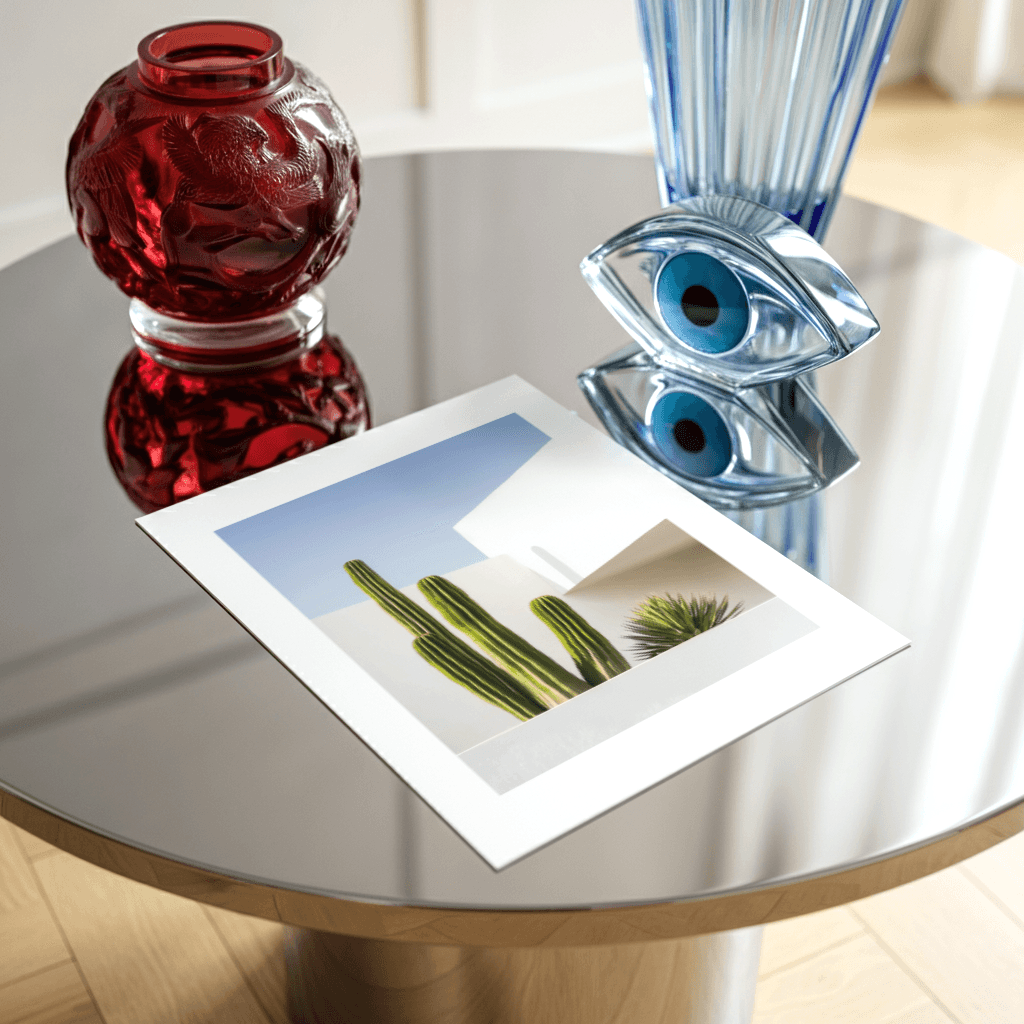 Desert Cactus Shadow - The Secret Gallery