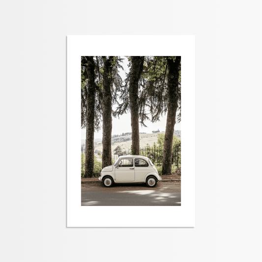 Small Car in the Forest - The Secret Gallery