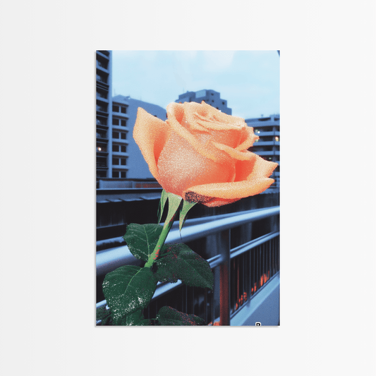 City Blossom - The Secret Gallery