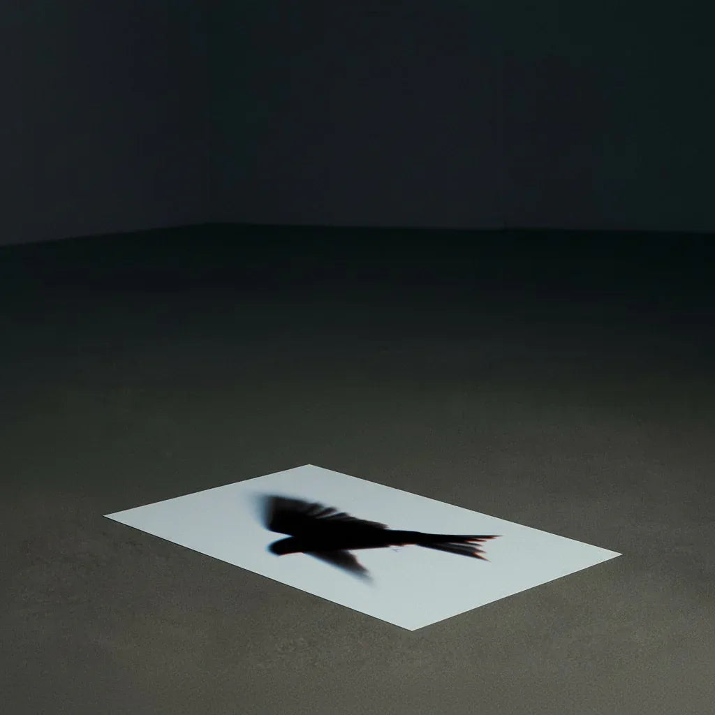 Moderner Vogel Poster mit einem stilisierten Vogel-Schatten auf hellem Hintergrund