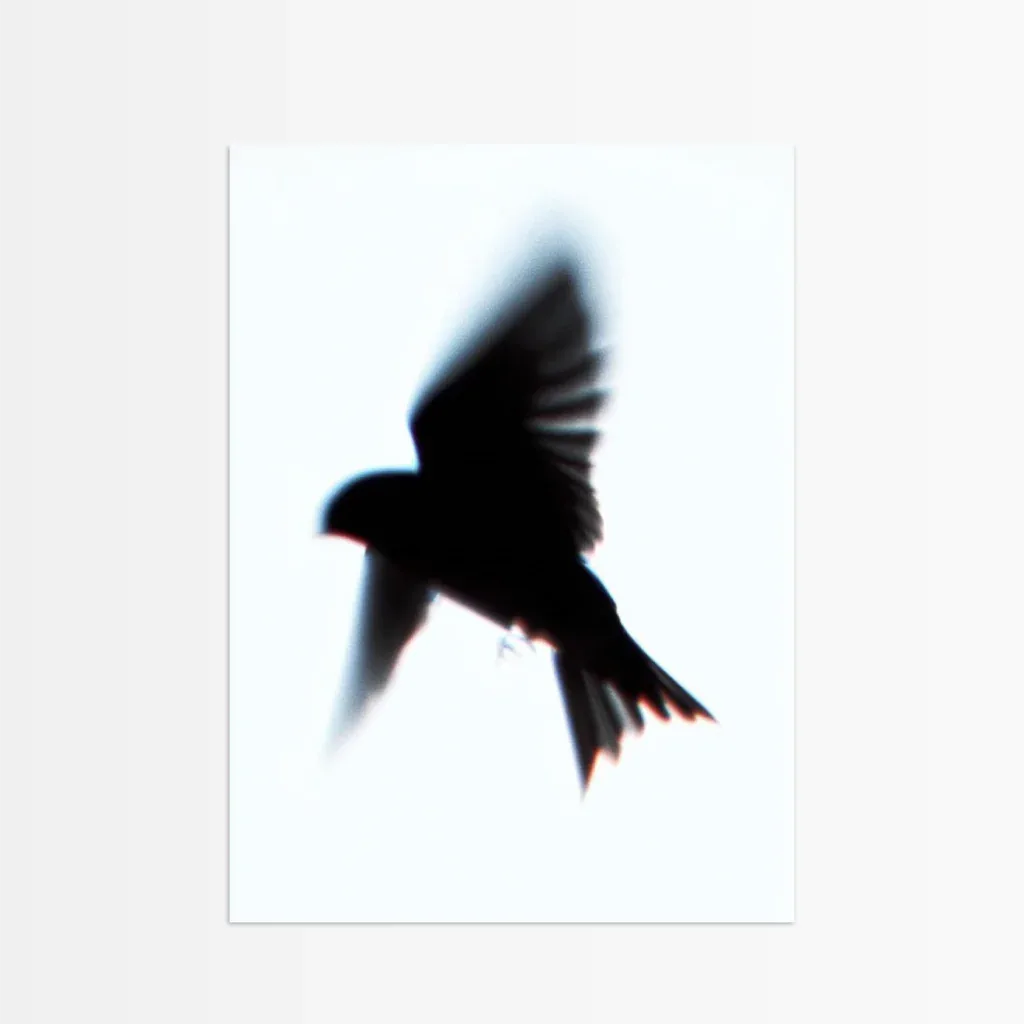 Moderner Vogel Poster mit künstlerischer Silhouette eines Vogels vor hellem Hintergrund