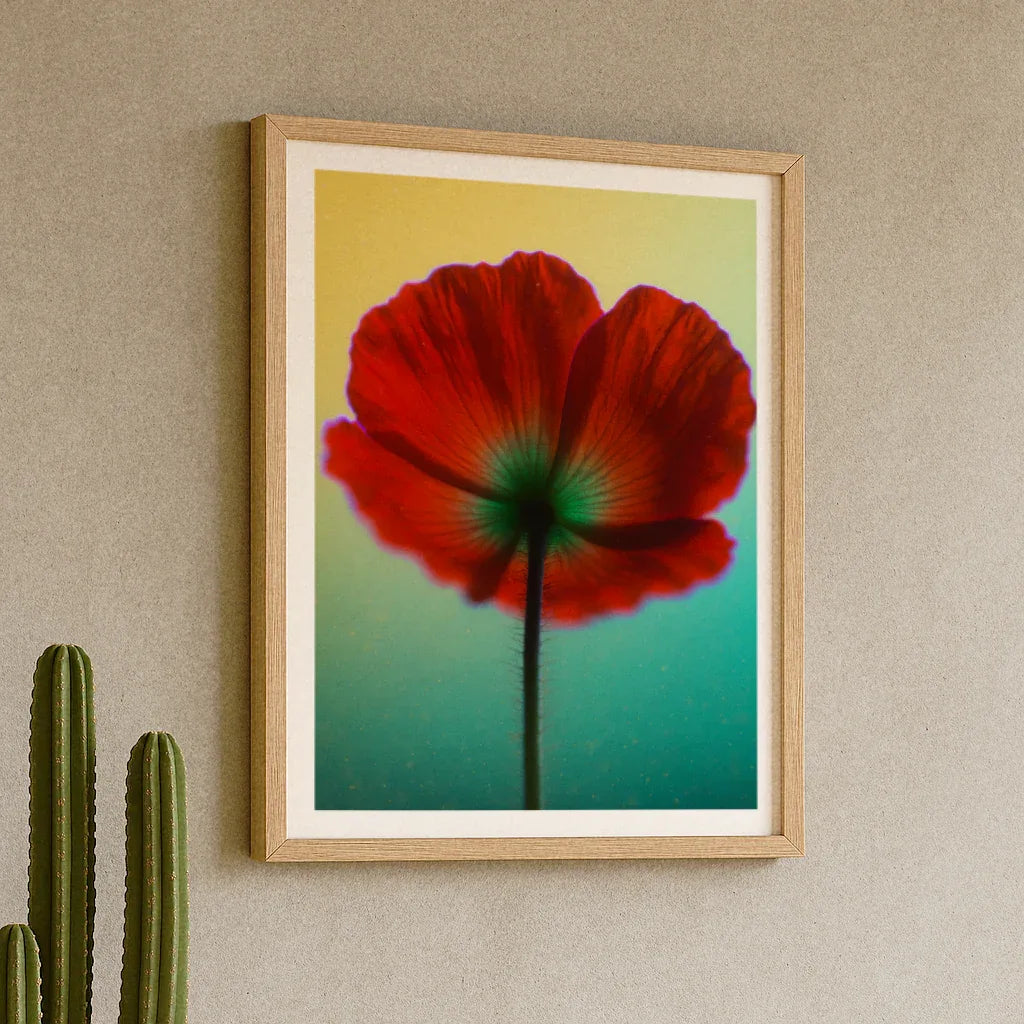 Mohnblumen Poster im Rahmen mit leuchtend roten Blüten auf sanftem Hintergrund