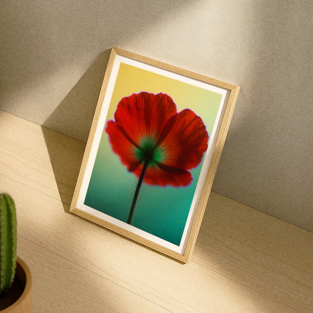 Mohnblumen Poster mit lebendigen Farben und modernem Holzrahmen für stilvolle Wanddekoration