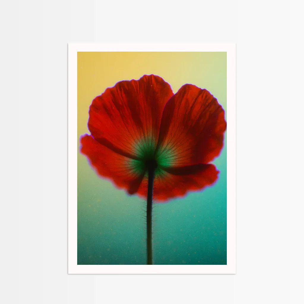 Mohnblumen Poster mit leuchtend roten Blüten und sanftem, buntem Hintergrund