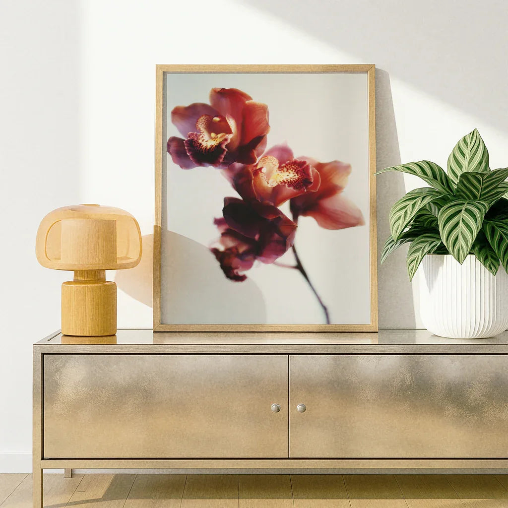 Orchideen Poster von The Secret Gallery mit bunten Orchideenblüten in einem modernen Rahmen