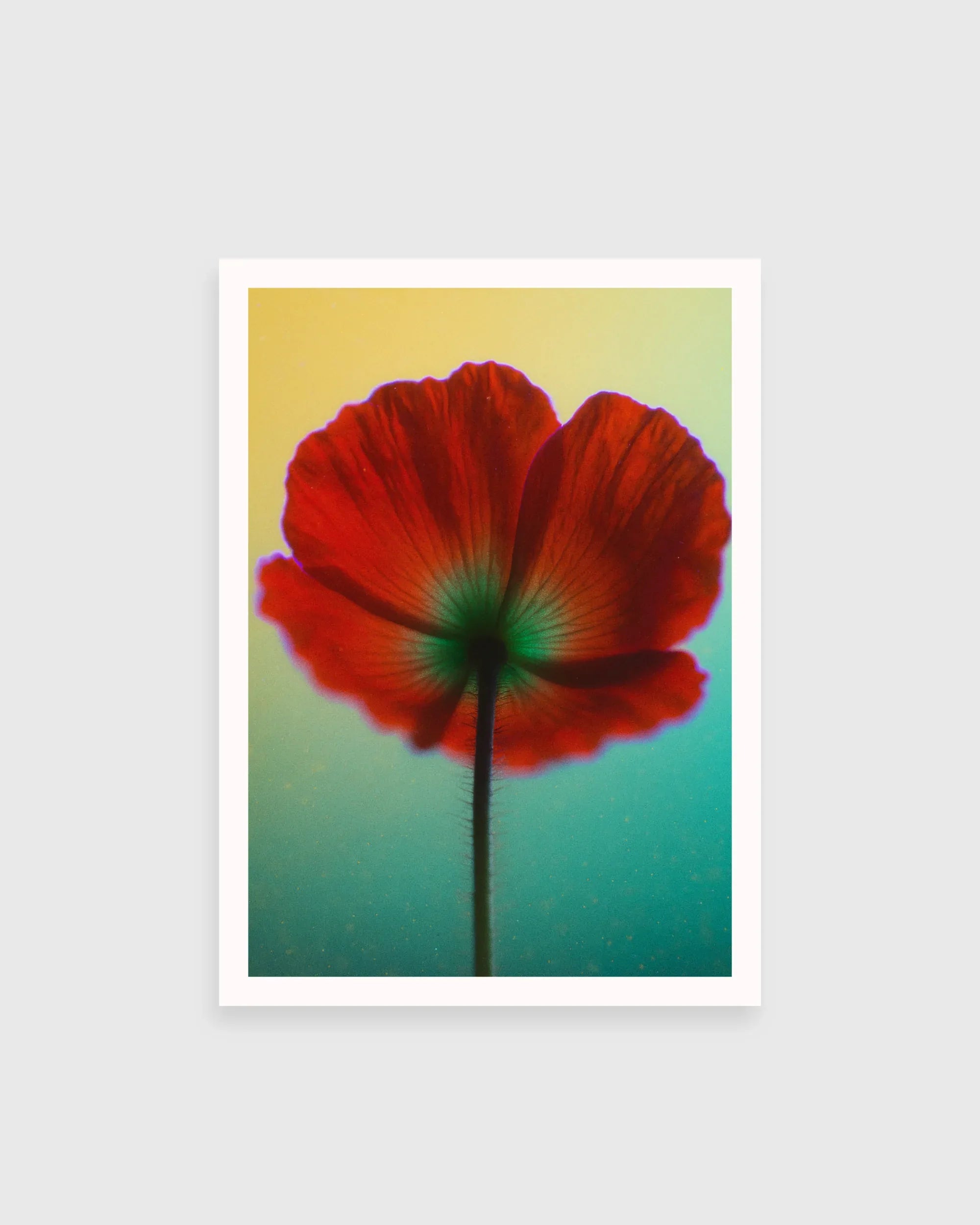 Last bloom on earth - The Secret Gallery