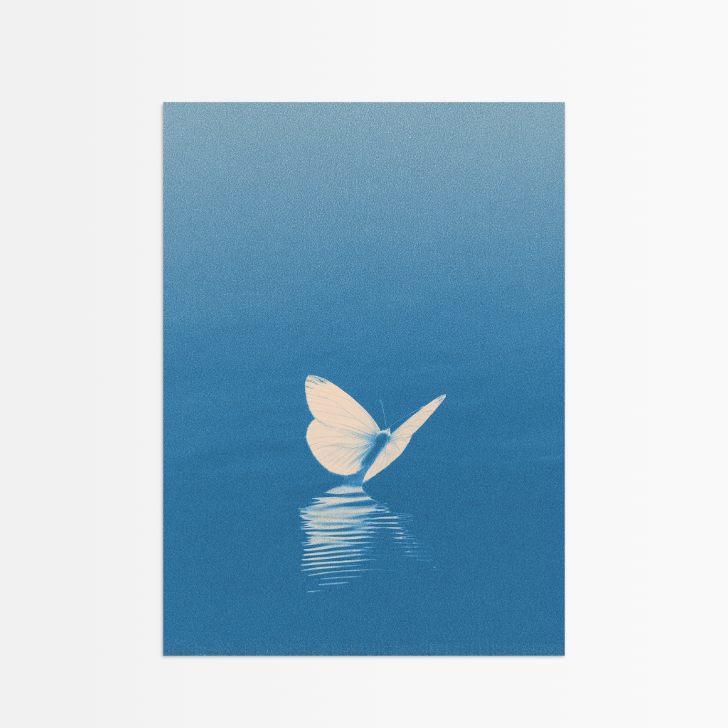 Blue Butterfly.jpeg_undefined