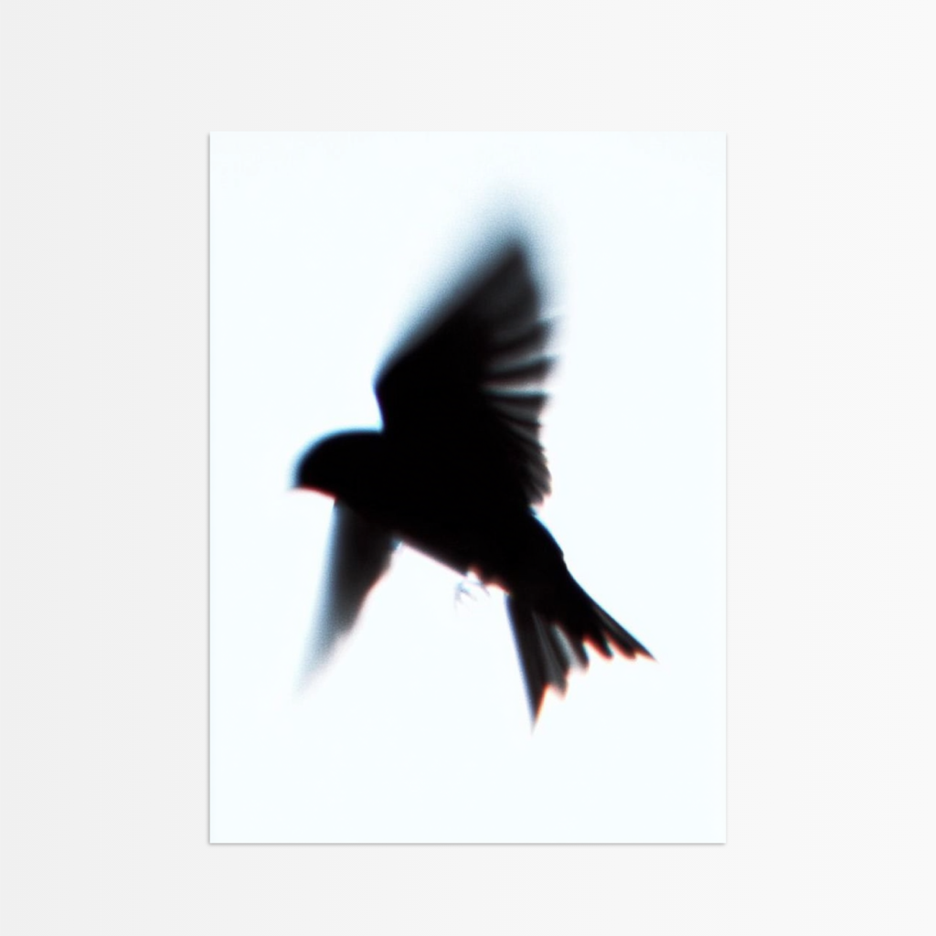 Night Flight.jpeg_undefined