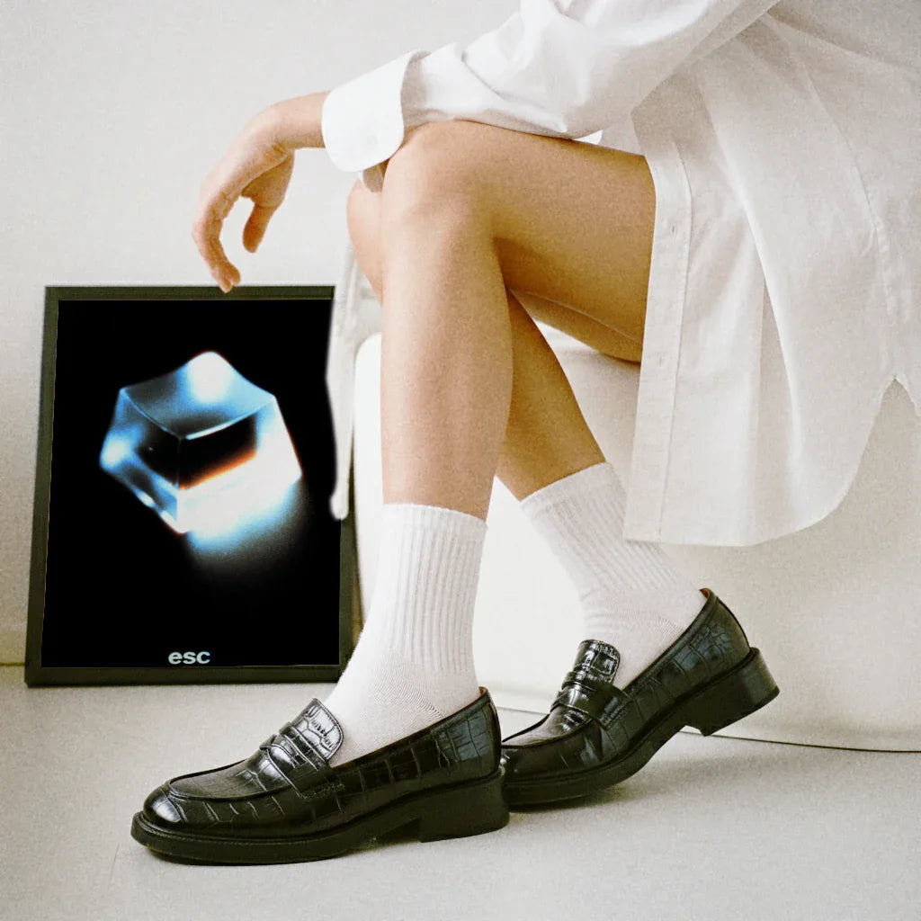 Frozen Light - The Secret Gallery