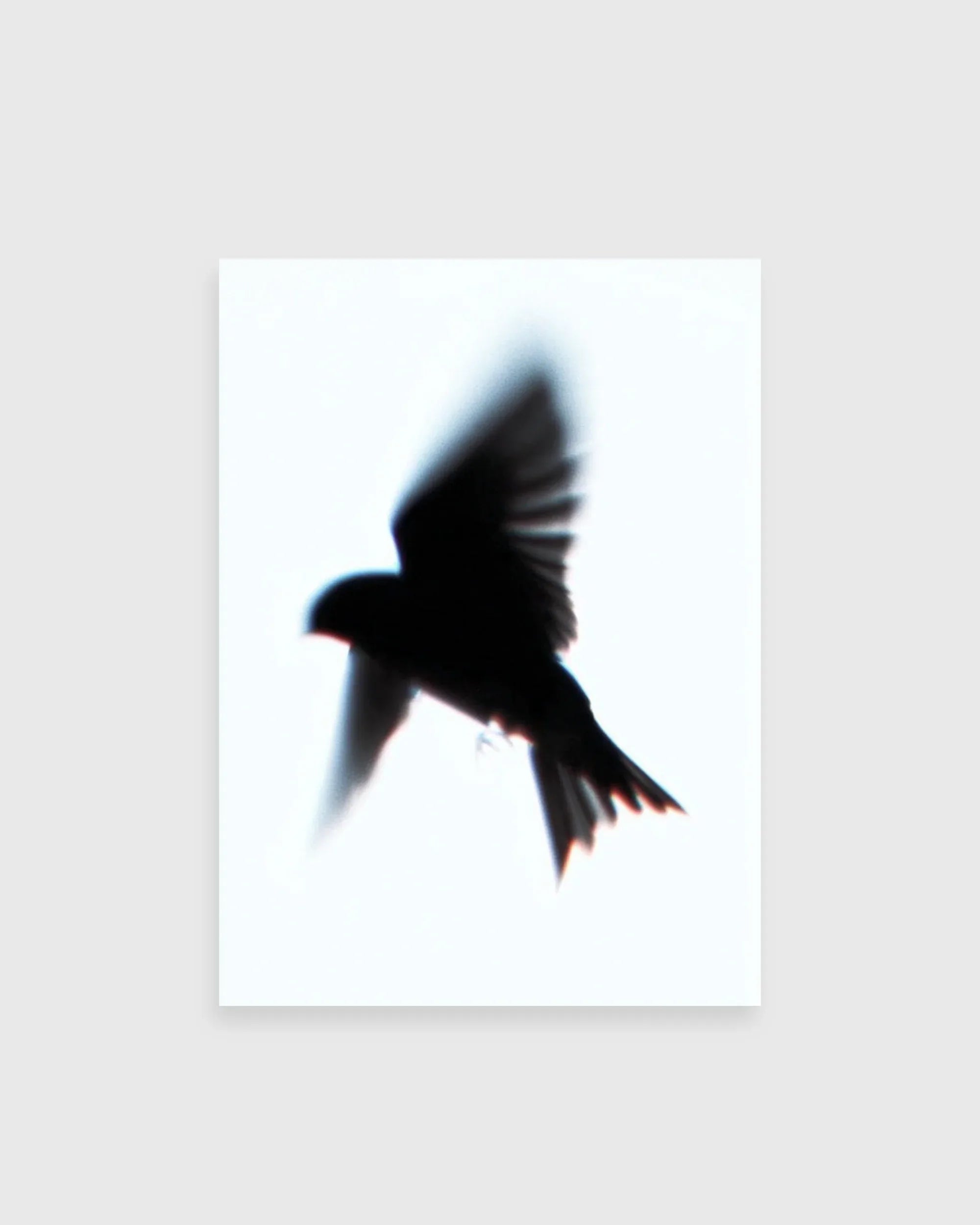 Night Flight - The Secret Gallery